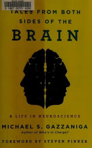 Tales from Both Sides of the Brain